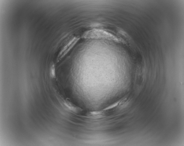 X0000061760095200512161755