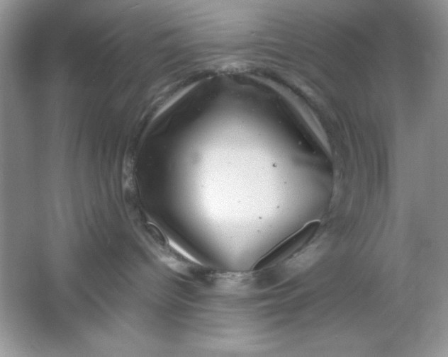 X0000061760096200512161755