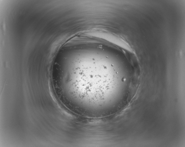 X0000061760097200512161754