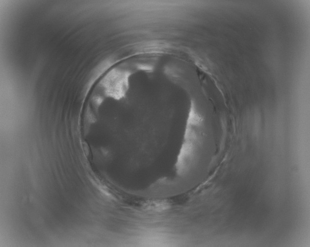 X0000061760099200512161754