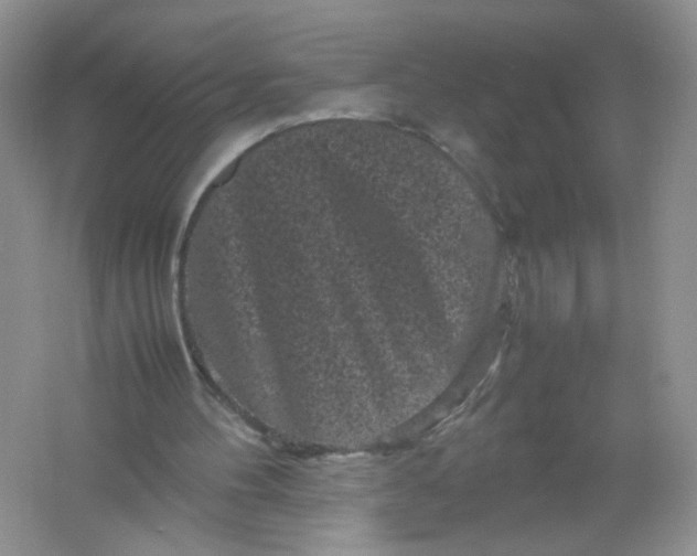 X0000061760100200512161754