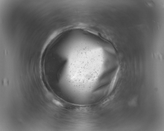 X0000061760102200512161754