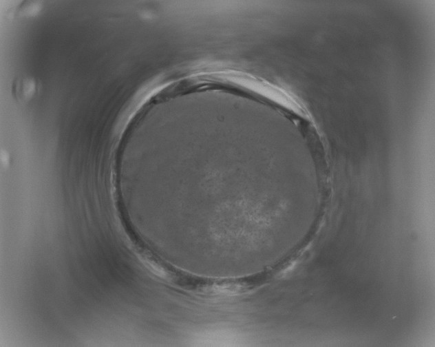 X0000061760103200512161754