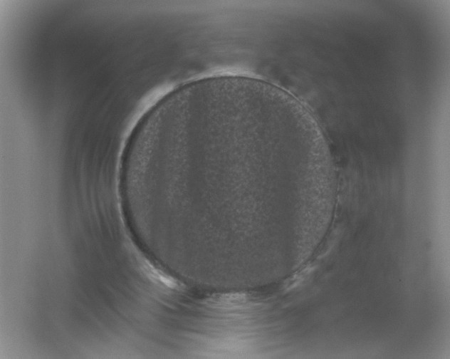 X0000061760104200512161754