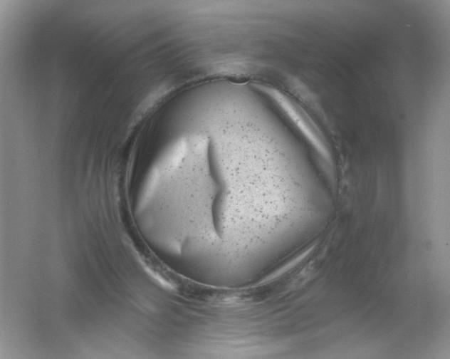 X0000061760106200512161754