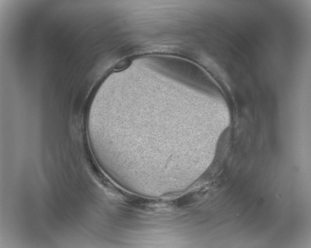 X0000061760107200512161754