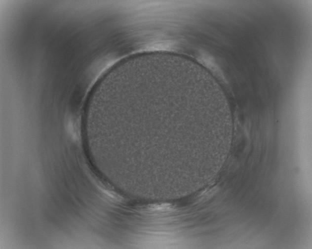 X0000061760108200512161754