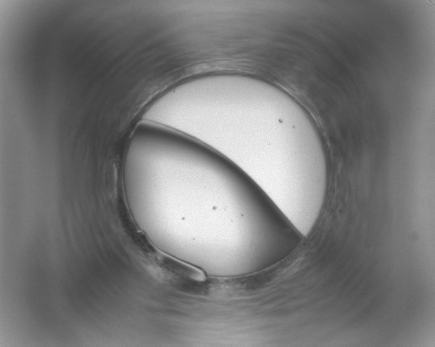 X0000061760109200512161754