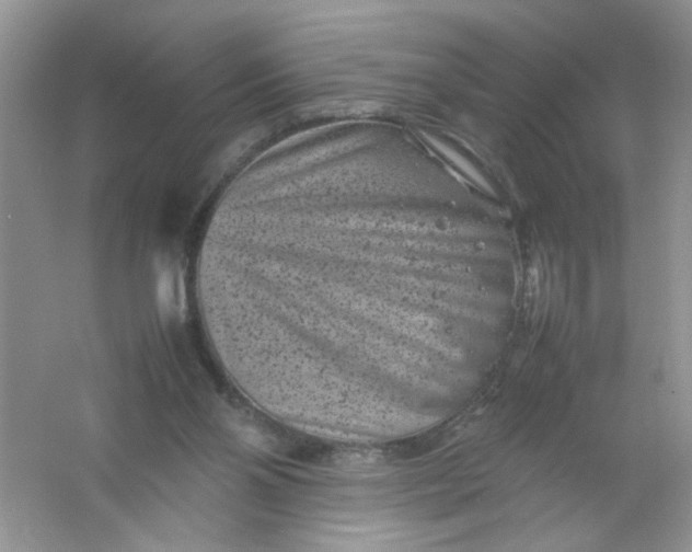 X0000061760110200512161754