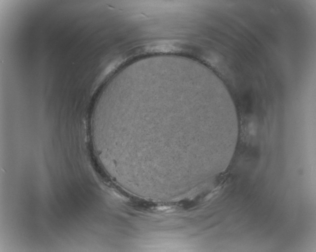 X0000061760111200512161754