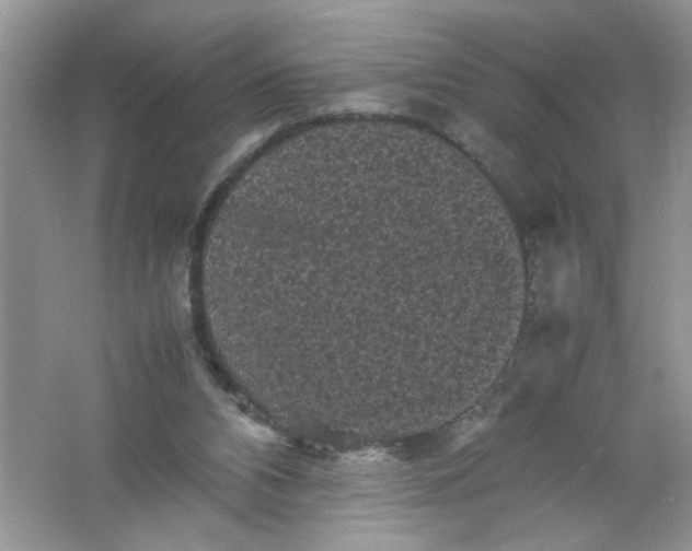 X0000061760112200512161754