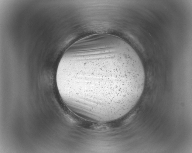 X0000061760113200512161754