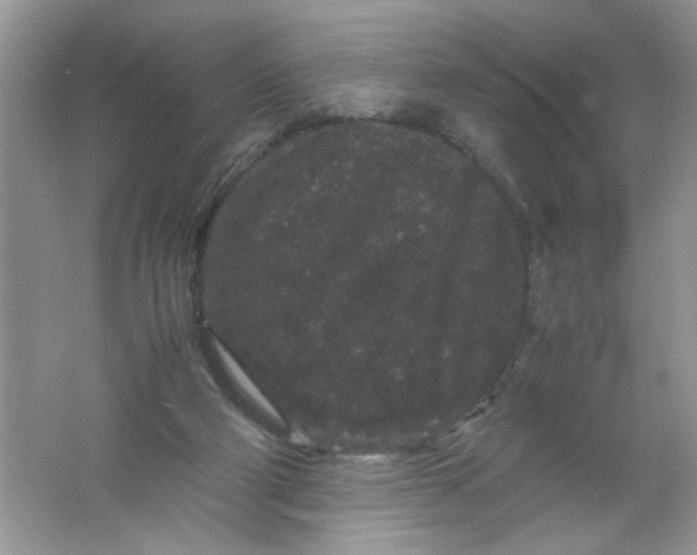 X0000061760114200512161754