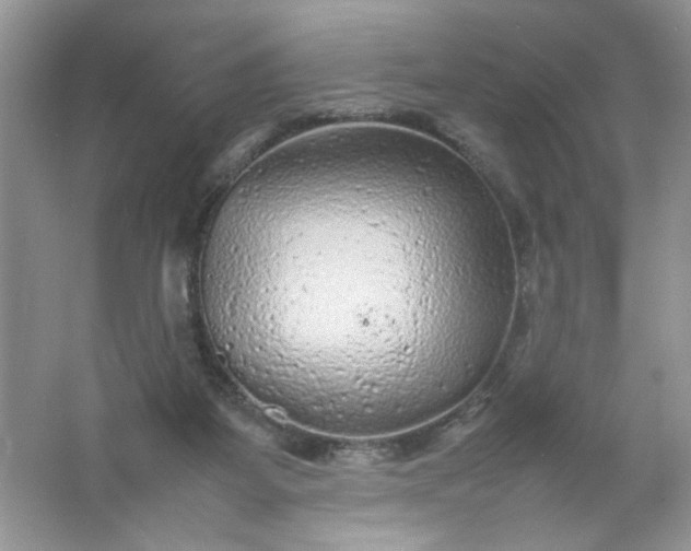 X0000061760115200512161754