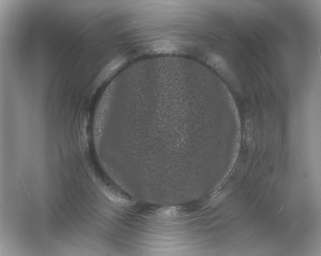 X0000061760116200512161754