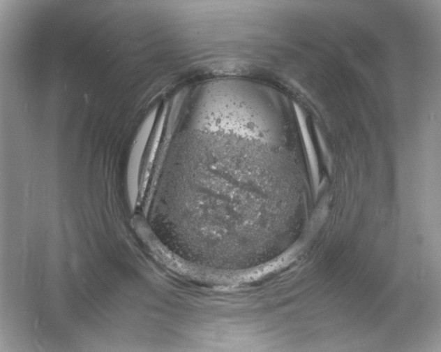 X0000061760117200512161754