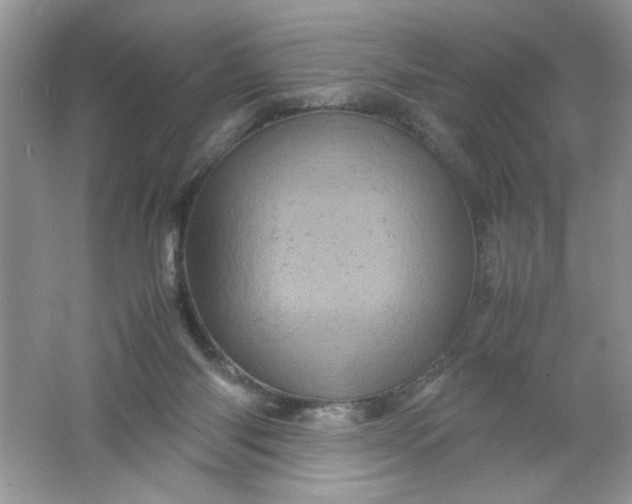 X0000061760118200512161754