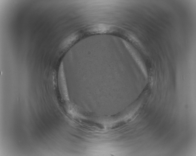 X0000061760119200512161754