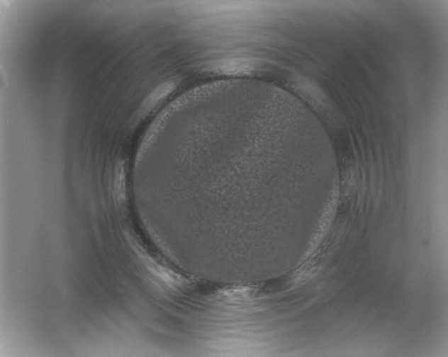 X0000061760120200512161754