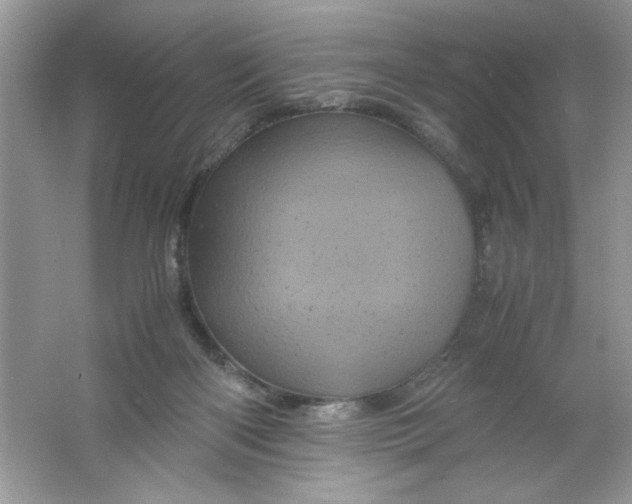 X0000061760122200512161754