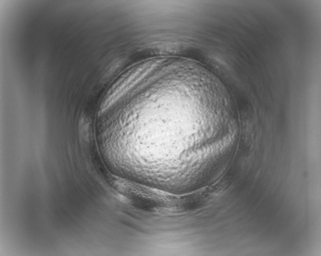 X0000061760123200512161754