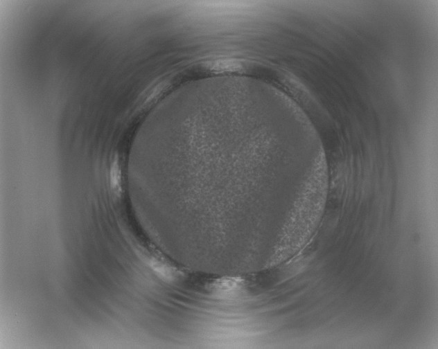 X0000061760124200512161754