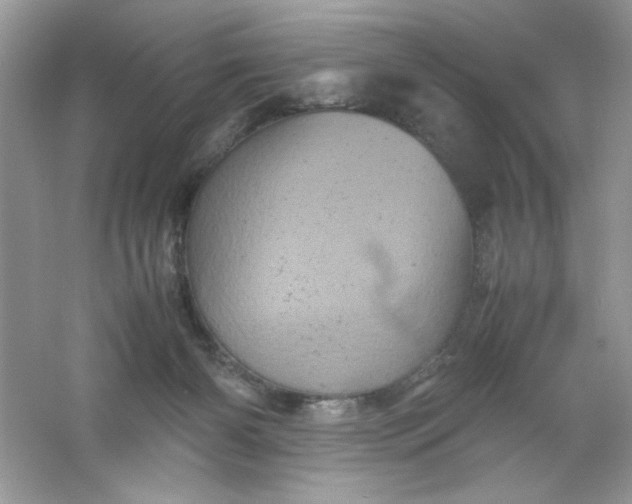 X0000061760126200512161754