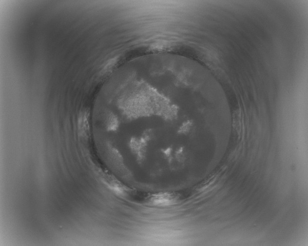 X0000061760127200512161754