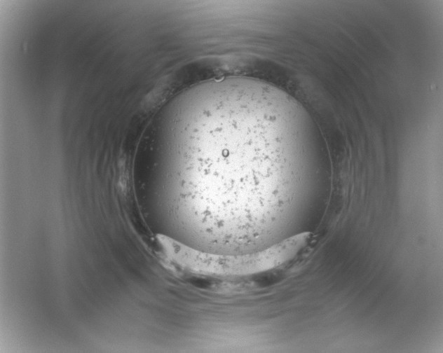 X0000061760129200512161754