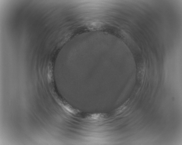 X0000061760130200512161753