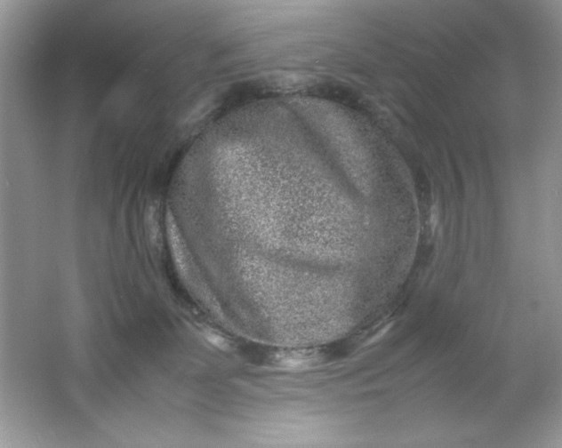 X0000061760131200512161753