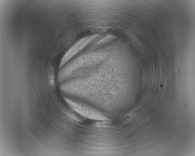 X0000061760134200512161753