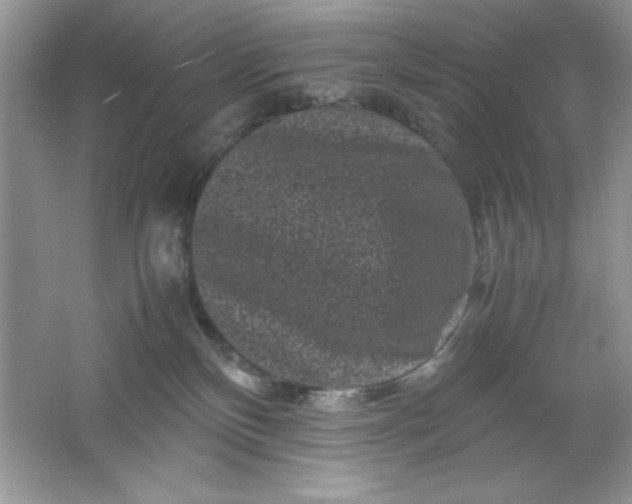 X0000061760136200512161753