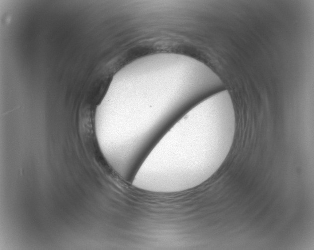 X0000061760137200512161753