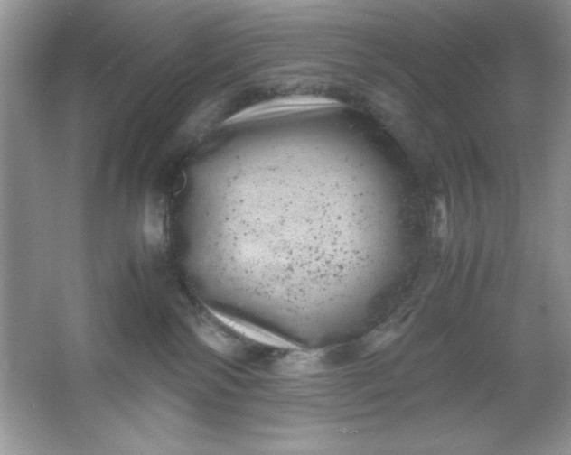 X0000061760138200512161753