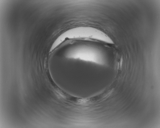 X0000061760139200512161753