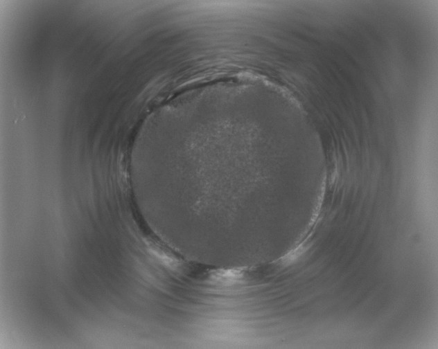 X0000061760140200512161753