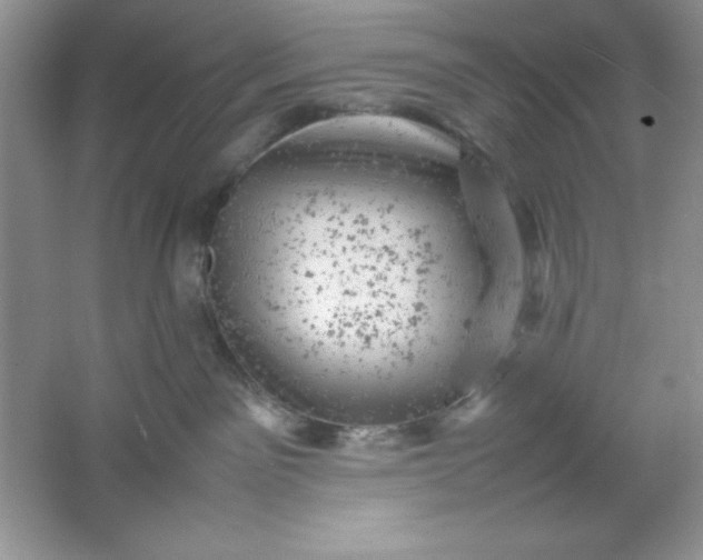 X0000061760141200512161753