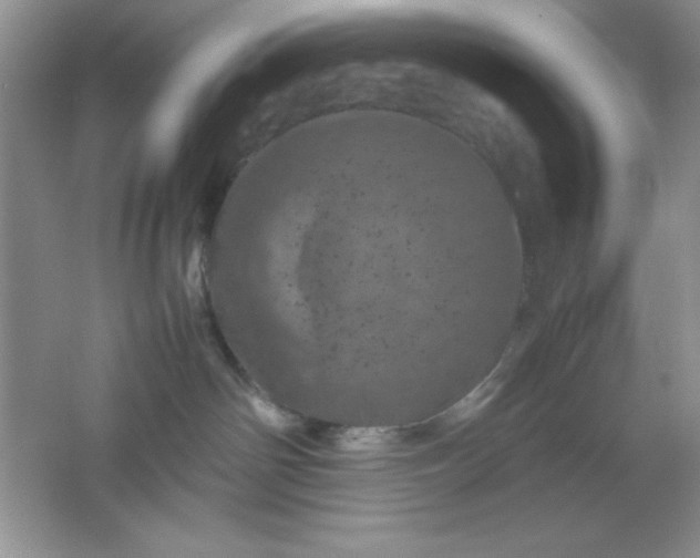 X0000061760142200512161753