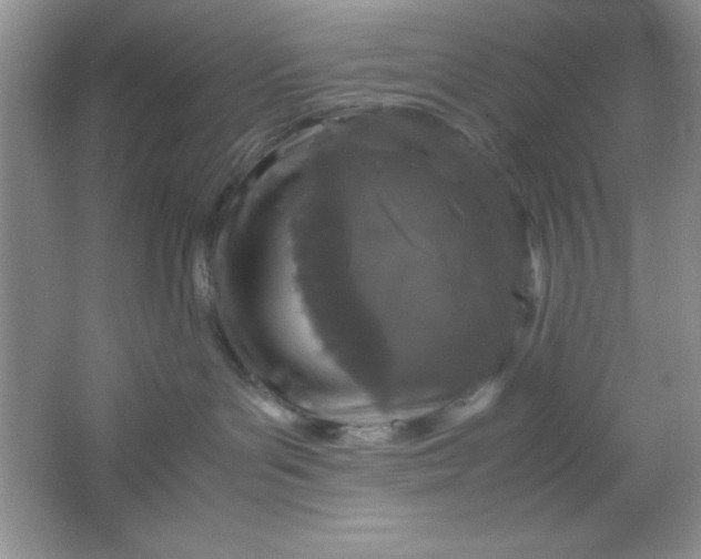 X0000061760143200512161753