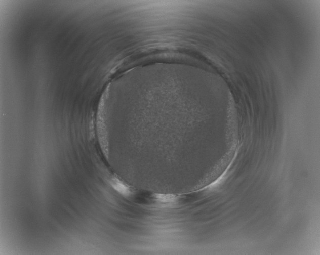 X0000061760144200512161753