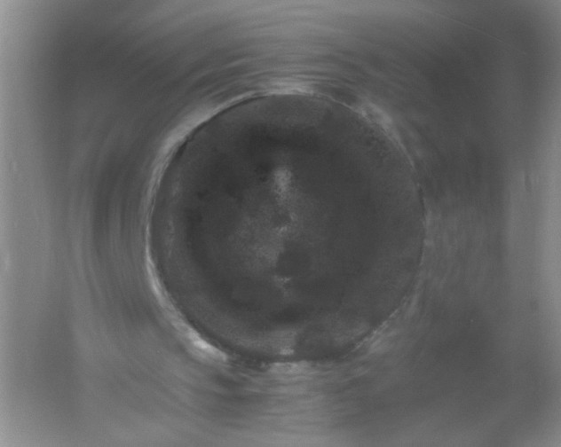 X0000061760145200512161752