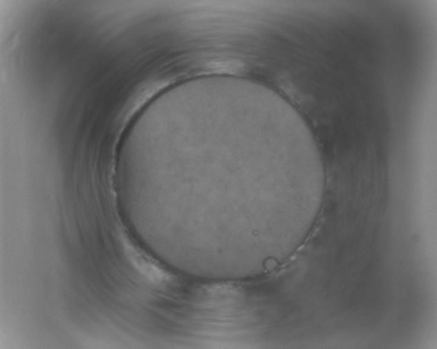 X0000061760146200512161752