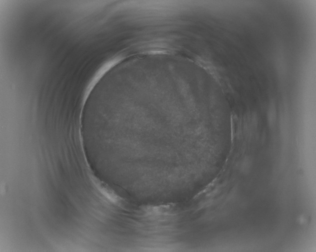 X0000061760147200512161752