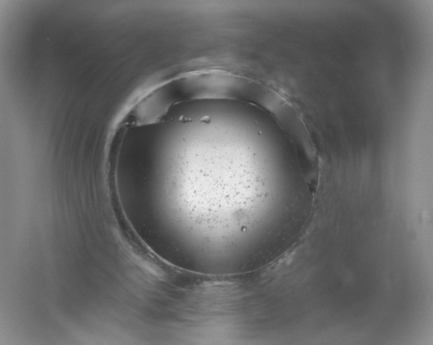 X0000061760150200512161753