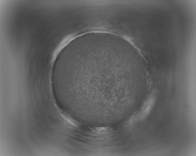 X0000061760151200512161753