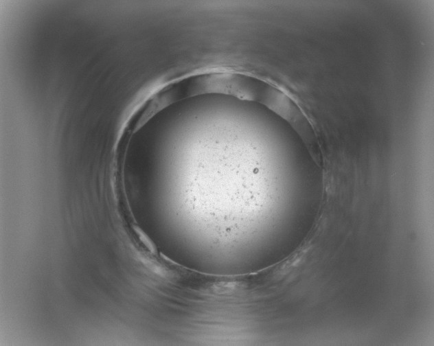 X0000061760152200512161753