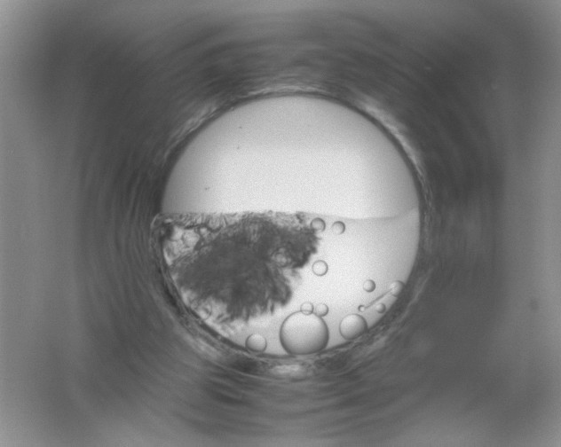 X0000061760153200512161753