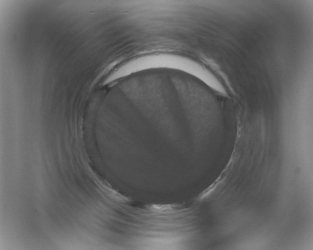 X0000061760154200512161753