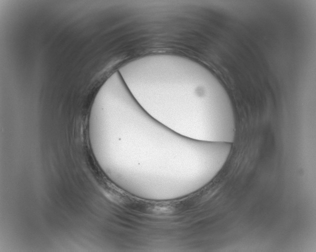 X0000061760157200512161753